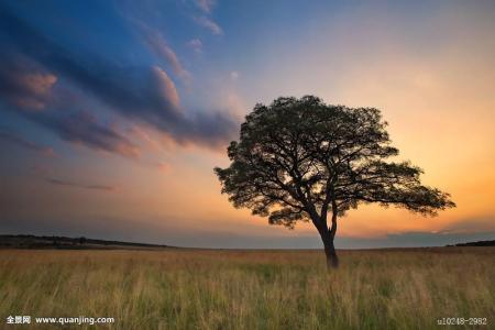 ֱΪʯҵ 㶫Ļᡰ˷硱ת