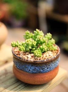 հˮϵȫͨ ˳ǡø˾