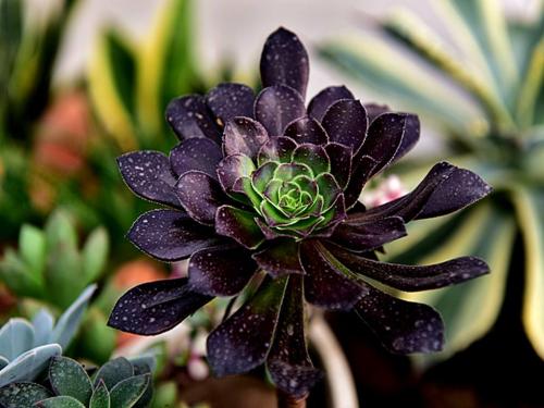 붬ǿϮ,ú?ίӦȵ㡱